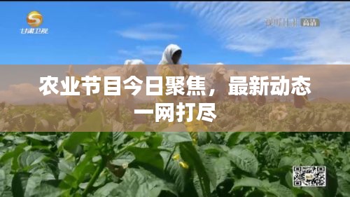 農(nóng)業(yè)節(jié)目今日聚焦，最新動態(tài)一網(wǎng)打盡