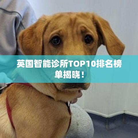 英國(guó)智能診所TOP10排名榜單揭曉！