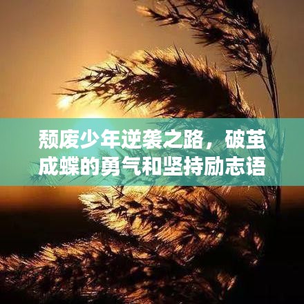 白璧無(wú)瑕 第2頁(yè)