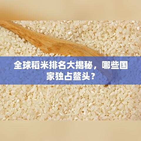 全球稻米排名大揭秘，哪些國(guó)家獨(dú)占鰲頭？