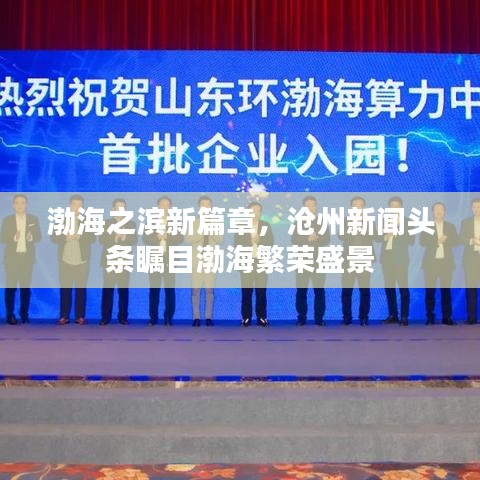 渤海之濱新篇章，滄州新聞?lì)^條矚目渤海繁榮盛景