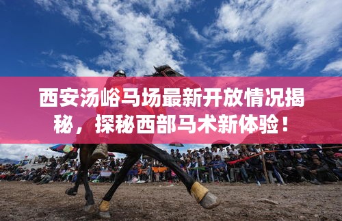 西安湯峪馬場最新開放情況揭秘，探秘西部馬術(shù)新體驗！