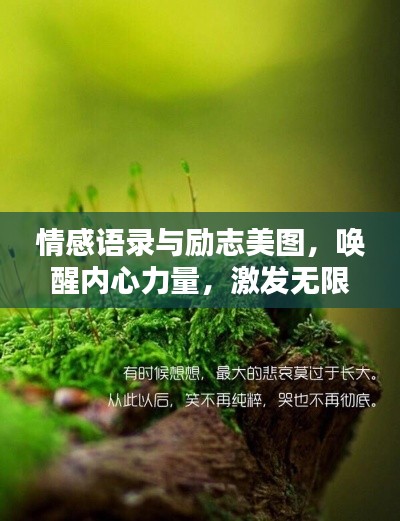 情感語錄與勵志美圖，喚醒內(nèi)心力量，激發(fā)無限潛能