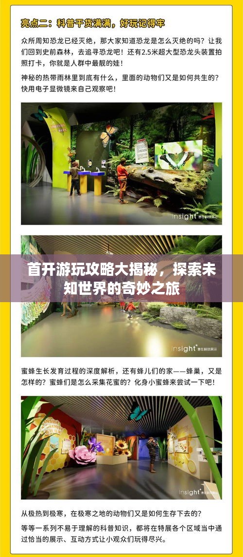 首開(kāi)游玩攻略大揭秘，探索未知世界的奇妙之旅