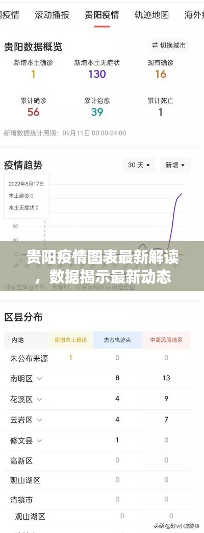 貴陽疫情圖表最新解讀，數(shù)據(jù)揭示最新動態(tài)