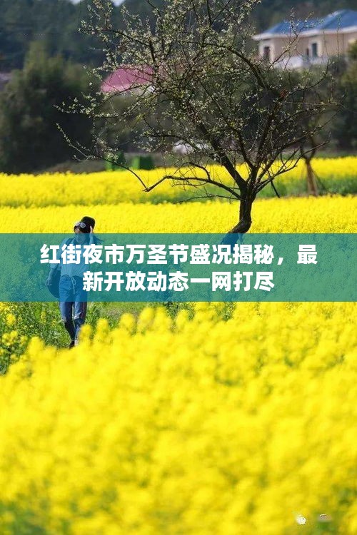 紅街夜市萬(wàn)圣節(jié)盛況揭秘，最新開(kāi)放動(dòng)態(tài)一網(wǎng)打盡