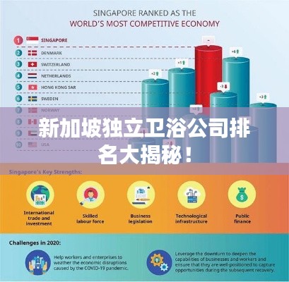 新加坡獨立衛(wèi)浴公司排名大揭秘！
