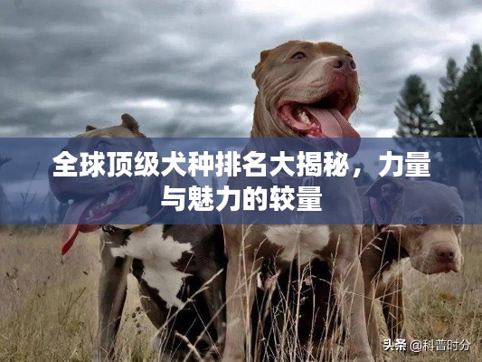 死而后已 第2頁(yè)
