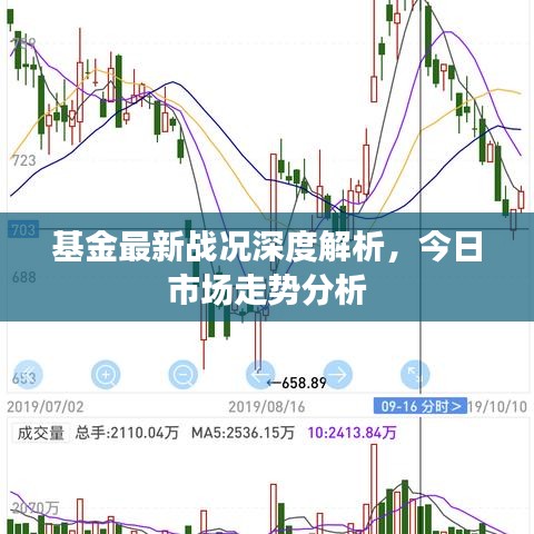 基金最新戰(zhàn)況深度解析，今日市場走勢分析