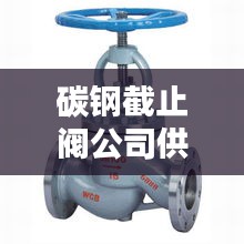 碳鋼截止閥公司供應(yīng)排名榜單揭曉！