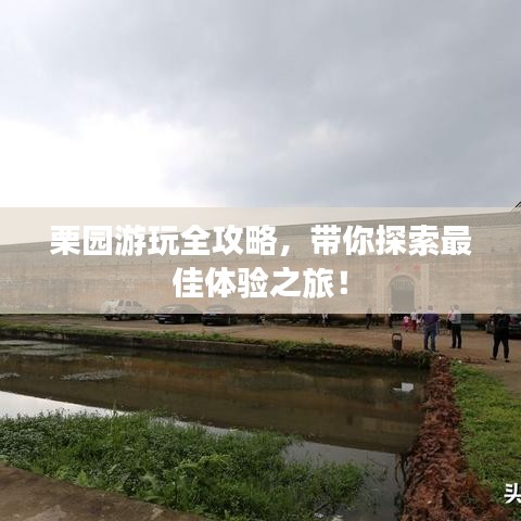 聯(lián)系我們 第139頁