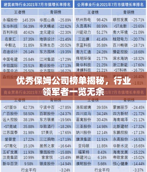 優(yōu)秀保姆公司榜單揭秘，行業(yè)領(lǐng)軍者一覽無(wú)余