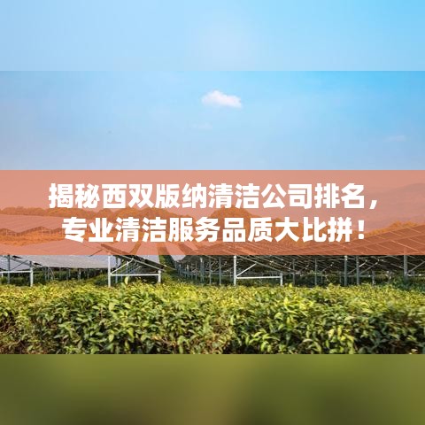 揭秘西雙版納清潔公司排名，專業(yè)清潔服務(wù)品質(zhì)大比拼！