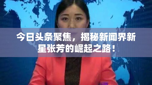 今日頭條聚焦，揭秘新聞界新星張芳的崛起之路！