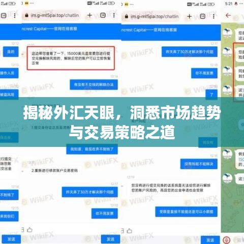 揭秘外匯天眼，洞悉市場趨勢與交易策略之道