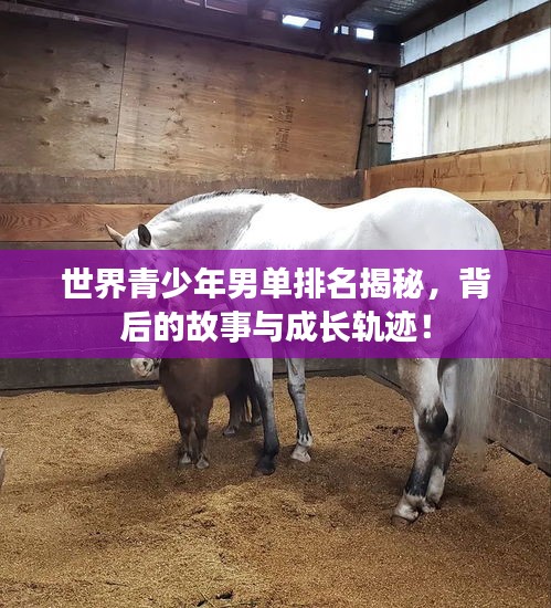 指手畫腳 第2頁