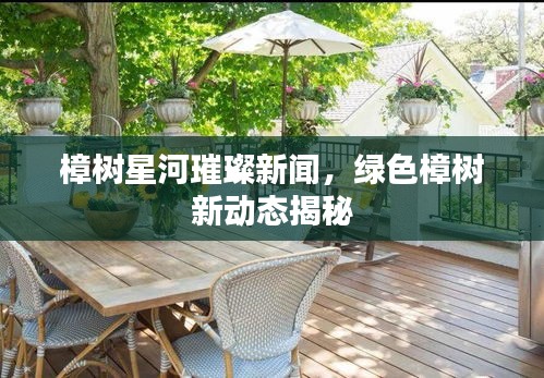 樟樹(shù)星河璀璨新聞，綠色樟樹(shù)新動(dòng)態(tài)揭秘