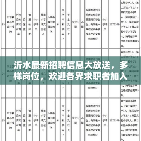 沂水最新招聘信息大放送，多樣崗位，歡迎各界求職者加入，年齡至55歲
