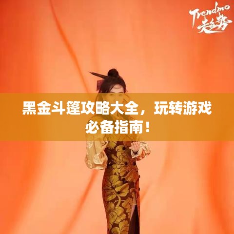 黑金斗篷攻略大全，玩轉(zhuǎn)游戲必備指南！