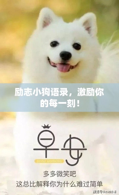 勵(lì)志小狗語錄，激勵(lì)你的每一刻！