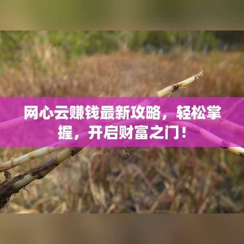 網心云賺錢最新攻略，輕松掌握，開啟財富之門！