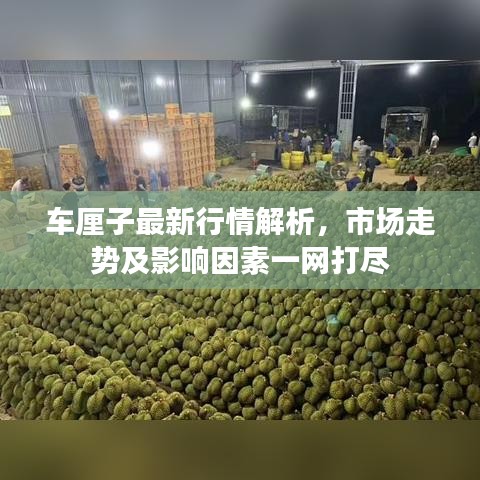 車?yán)遄幼钚滦星榻馕觯袌鲎邉菁坝绊懸蛩匾痪W(wǎng)打盡