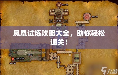 鳳凰試煉攻略大全，助你輕松通關(guān)！