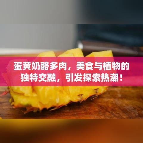 蛋黃奶酪多肉，美食與植物的獨(dú)特交融，引發(fā)探索熱潮！