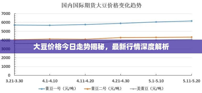大豆價(jià)格今日走勢揭秘，最新行情深度解析