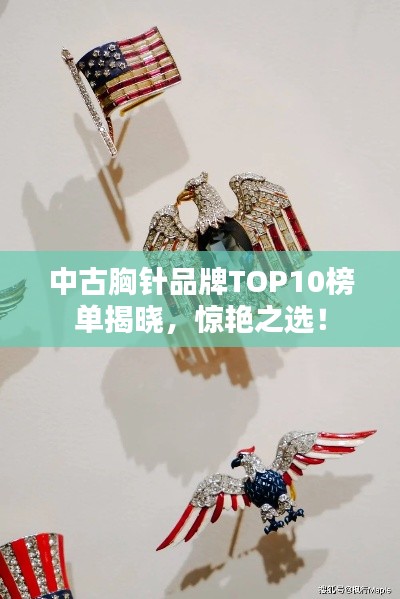 中古胸針品牌TOP10榜單揭曉，驚艷之選！