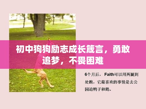 初中狗狗勵(lì)志成長箴言，勇敢追夢(mèng)，不畏困難