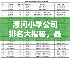 漯河小學(xué)公司排名大揭秘，最新榜單，家長必看！