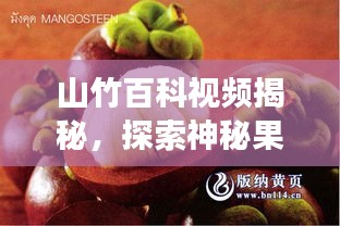 山竹百科視頻揭秘，探索神秘果實(shí)的奇妙之旅！