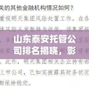 山東泰安托管公司排名揭曉，影響力深度剖析