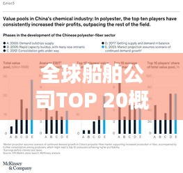 全球船舶公司TOP 20概覽，排名與實力解析