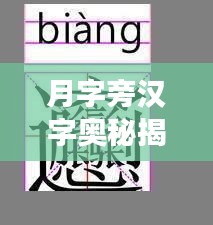 月字旁漢字奧秘揭秘，漢字世界里的神秘之旅