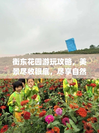 衡東花園游玩攻略，美景盡收眼底，盡享自然之旅！