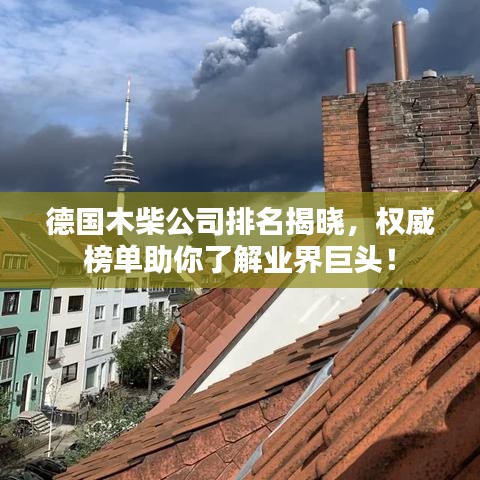 德國(guó)木柴公司排名揭曉，權(quán)威榜單助你了解業(yè)界巨頭！