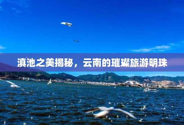 滇池之美揭秘，云南的璀璨旅游明珠