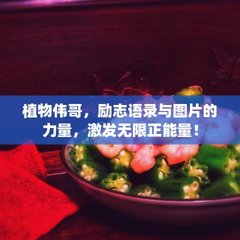 植物偉哥，勵志語錄與圖片的力量，激發(fā)無限正能量！