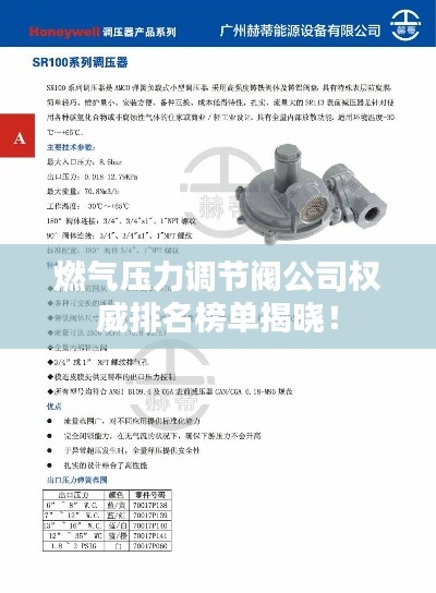 燃氣壓力調(diào)節(jié)閥公司權(quán)威排名榜單揭曉！