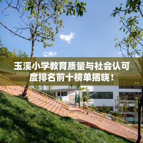 玉溪小學(xué)教育質(zhì)量與社會認(rèn)可度排名前十榜單揭曉！
