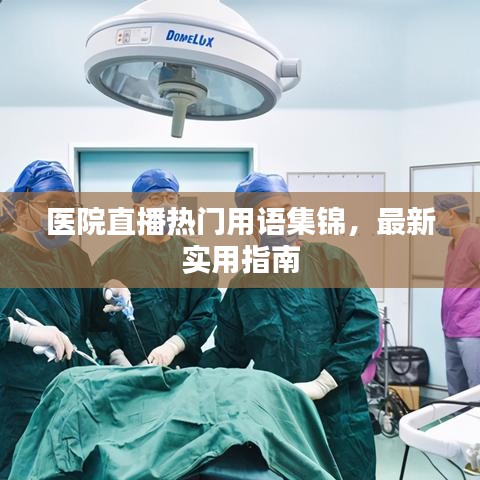 醫(yī)院直播熱門用語(yǔ)集錦，最新實(shí)用指南
