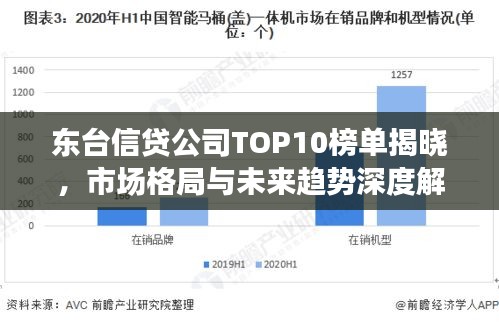 東臺(tái)信貸公司TOP10榜單揭曉，市場(chǎng)格局與未來趨勢(shì)深度解讀