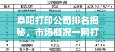 阜陽打印公司排名揭秘，市場概況一網(wǎng)打盡