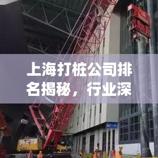 展翅欲飛 第2頁(yè)