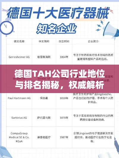 德國(guó)TAH公司行業(yè)地位與排名揭秘，權(quán)威解析引領(lǐng)關(guān)注焦點(diǎn)