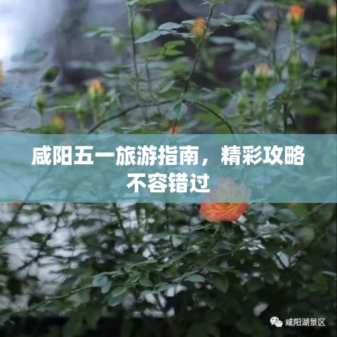 咸陽(yáng)五一旅游指南，精彩攻略不容錯(cuò)過(guò)