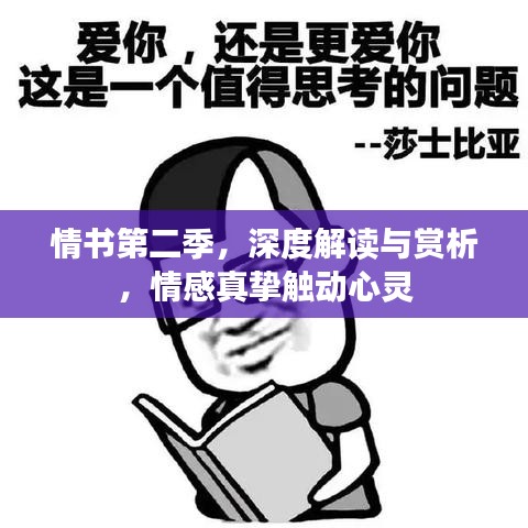 情書第二季，深度解讀與賞析，情感真摯觸動心靈