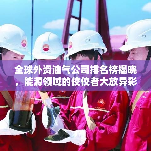 全球外資油氣公司排名榜揭曉，能源領(lǐng)域的佼佼者大放異彩！